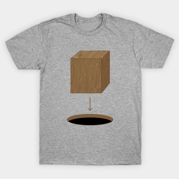 Square Peg in a Round Hole T-Shirt by LeonStrapko